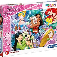 Disney princesses (60 bitar)