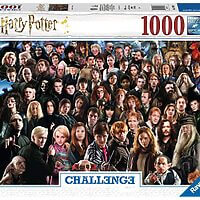 Harry Potter áskorunin (1000 bita)