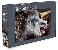 Íslenski hesturinn (500 bita)