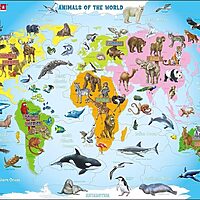 Animals of the world (28 bita)