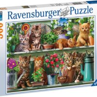 Cats on the shelf (500 bita) - Image 3