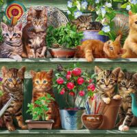 Cats on the shelf (500 bita) - Image 2