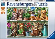 Cats on the shelf (500 bita)