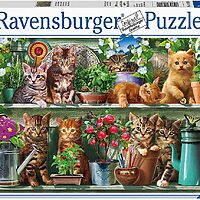 Cats on the shelf (500 bita)