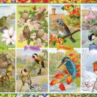 Seasonal garden birds (1000 bita) - Image 2