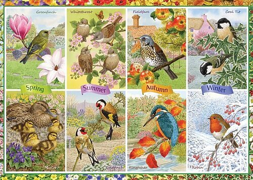 Seasonal garden birds (1000 bita) - Image 2