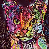 Abyssinian cat (2000 bita)