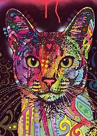 Abyssinian cat (2000 bita)