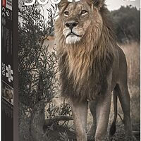 Proud lion (500 bita)