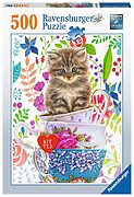 Kitten in a cup (500 bita)