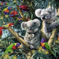 Koalas in a tree (500 bita) - Image 2
