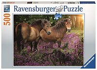 Ponies in the flowers (500 bita)
