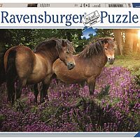 Ponies in the flowers (500 bita)