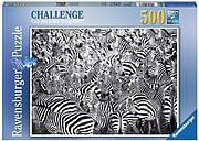 Zebra challenge (500 bita)