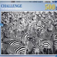 Zebra challenge (500 bita)