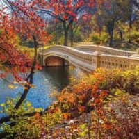 A stroll through Central Park (1000 bita) - Image 2