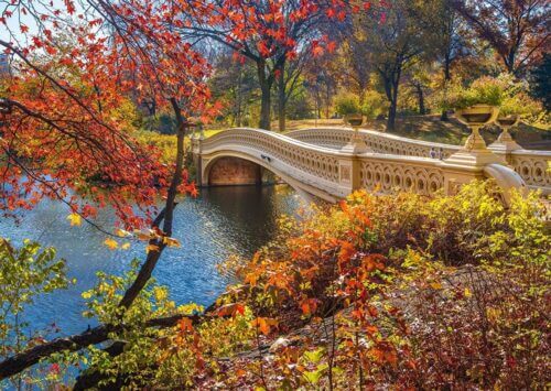 A stroll through Central Park (1000 bita) - Image 2