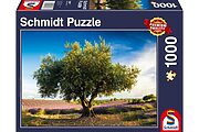 Olive tree in Provence (1000 bita)