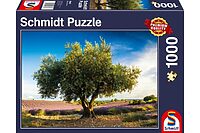 Olive tree in Provence (1000 bita)