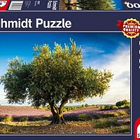 Olive tree in Provence (1000 bita)