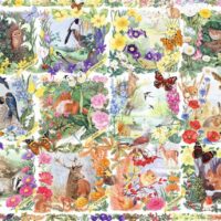Country calendar (1000 bita) - Image 2