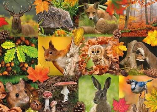 Autumn animals (1000 bita) - Image 2