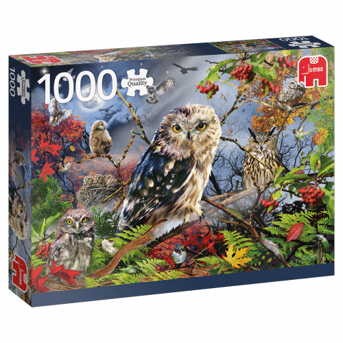 jumbo owls in moonlight 1000 18859 01