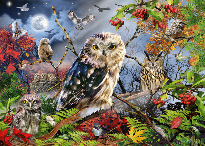 jumbo owls in moonlight 1000 18859 02