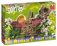 Ready for picnic (500 bita)