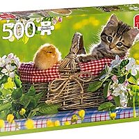 Ready for picnic (500 bita)