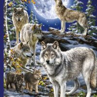 Wolve Pack in winter (500 bita) - Image 2
