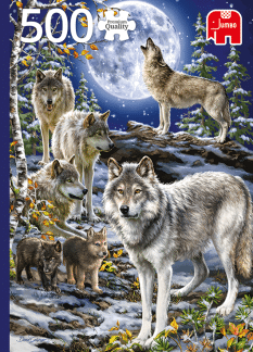 jumbo wolf pack in winter 500 18845 02