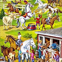The wide-ranging use and care of horses (50 bita)