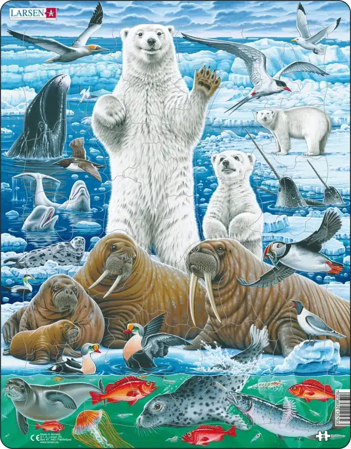 larsen Polar Bears and Walrus on the Artic Ice Pack FH42 46 01