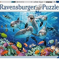 Dolphins in the coral reef (500 bita)