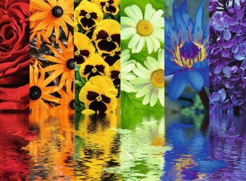 Floral reflections (500 bita) - Image 2