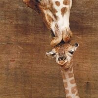 A mother's kiss (1000 bita) - Image 2