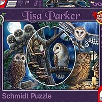 Mysterious owls (1000 bita)