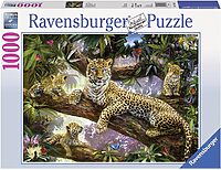 Leopard family (1000 bita)