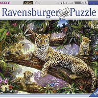 Leopard family (1000 bita)