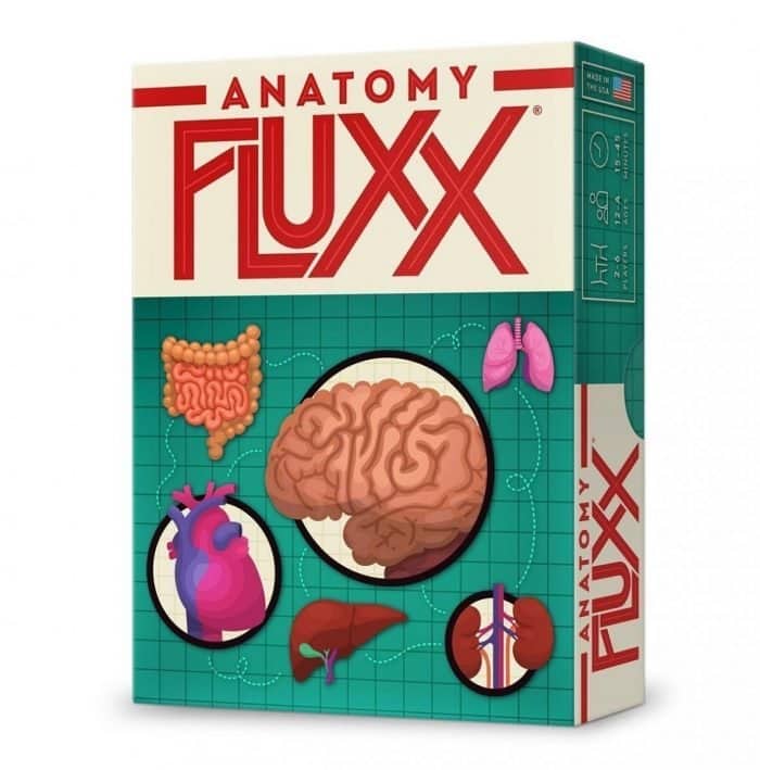 anatomy fluxx 01 scaled