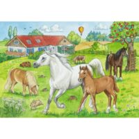 At the stables (2x24) - Image 2