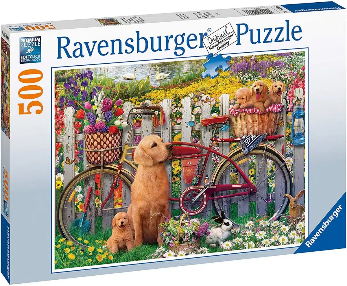 Cute dogs in the garden (500 bita)