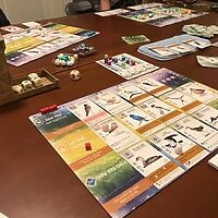 Wingspan 2nd ed. - Image 2