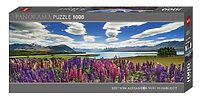 Edi. Humboldt: Lake Tekapo (1000 bita)