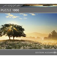 Edi. Humboldt: Play of light (1000 bita)