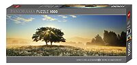 Edi. Humboldt: Play of light (1000 bita)