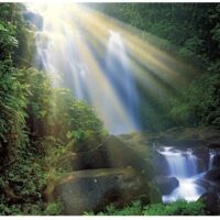 Magic forests: Waterfall (1000 bita) - Image 2