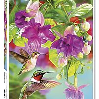 Hummingbirds (1000 bitar)