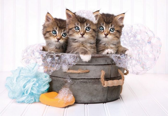 clementoni lovely kittens 180 29109 02 scaled